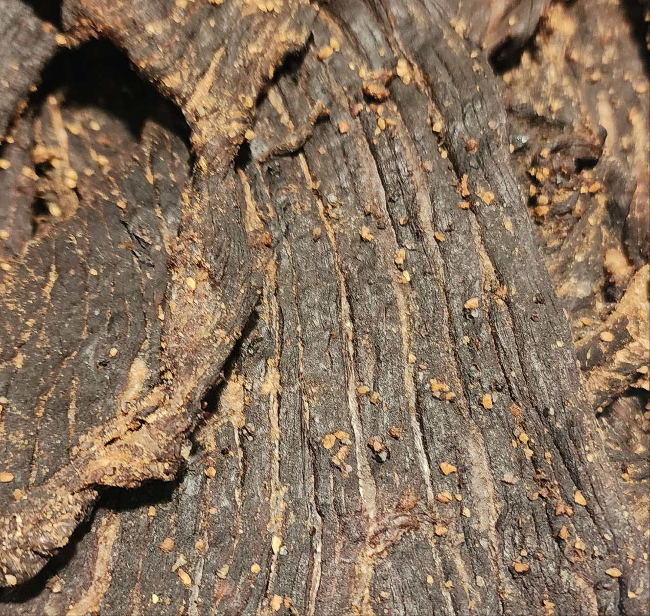 Gun Powder Flavor Beef Jerky