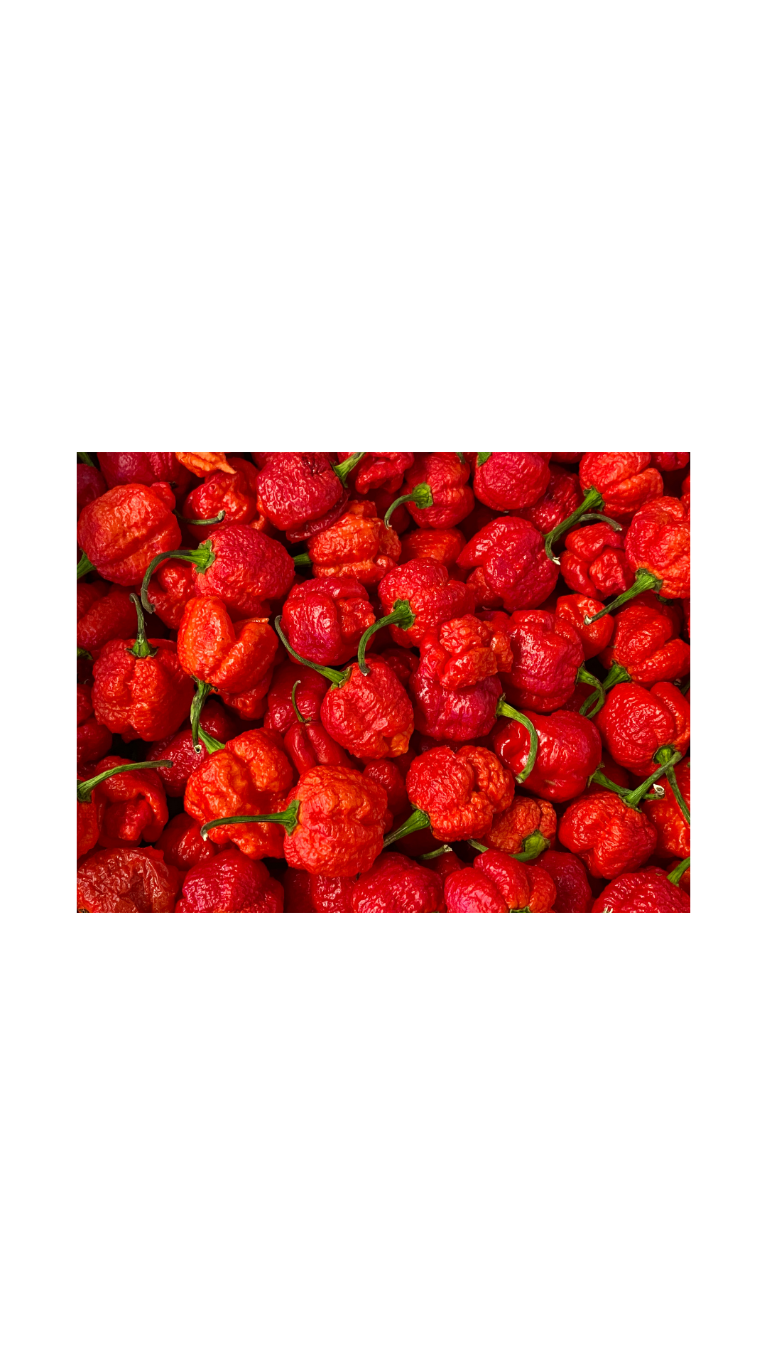 Carolina Reaper XXX Flavor Beef Jerky