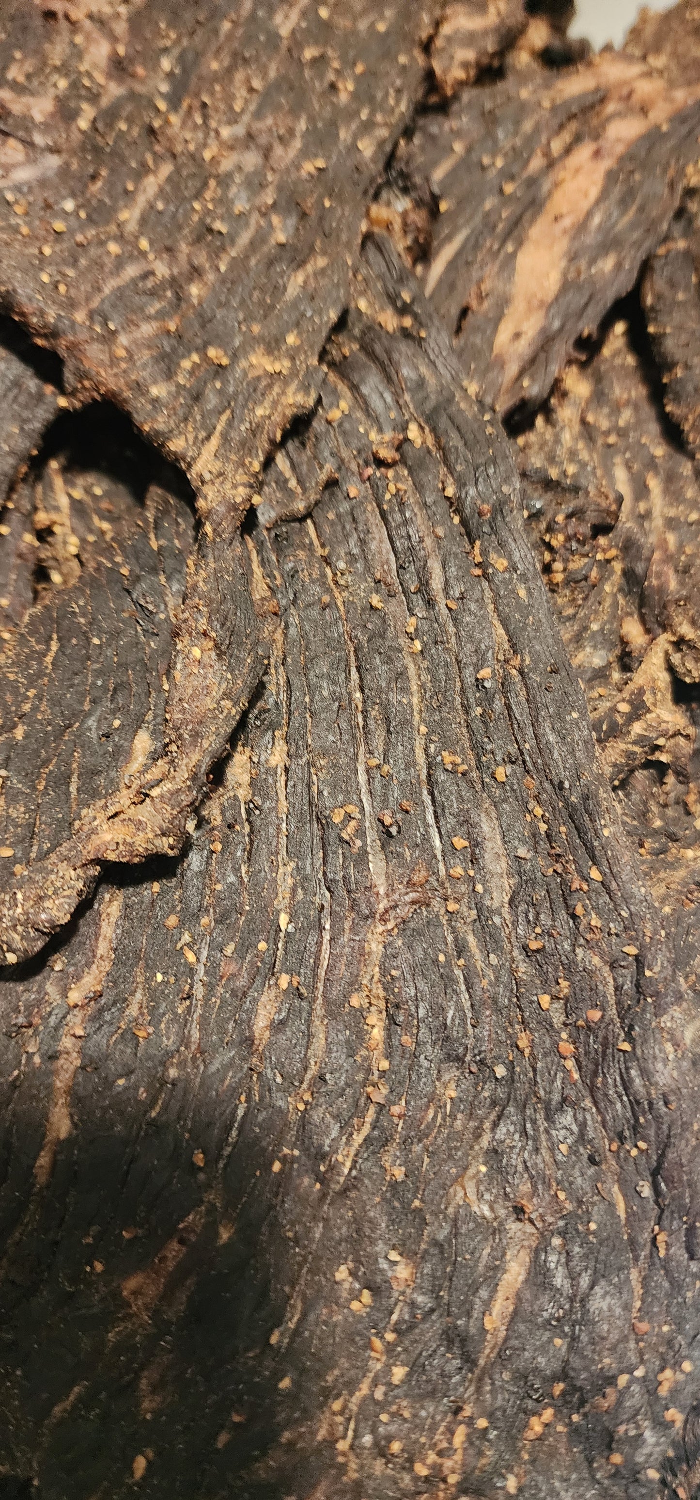 Black Pepper Flavor Beef Jerky